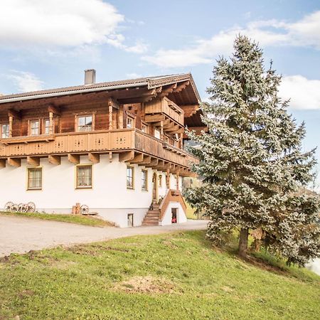 Rauchenbacher Apartments Миттерзилль Экстерьер фото