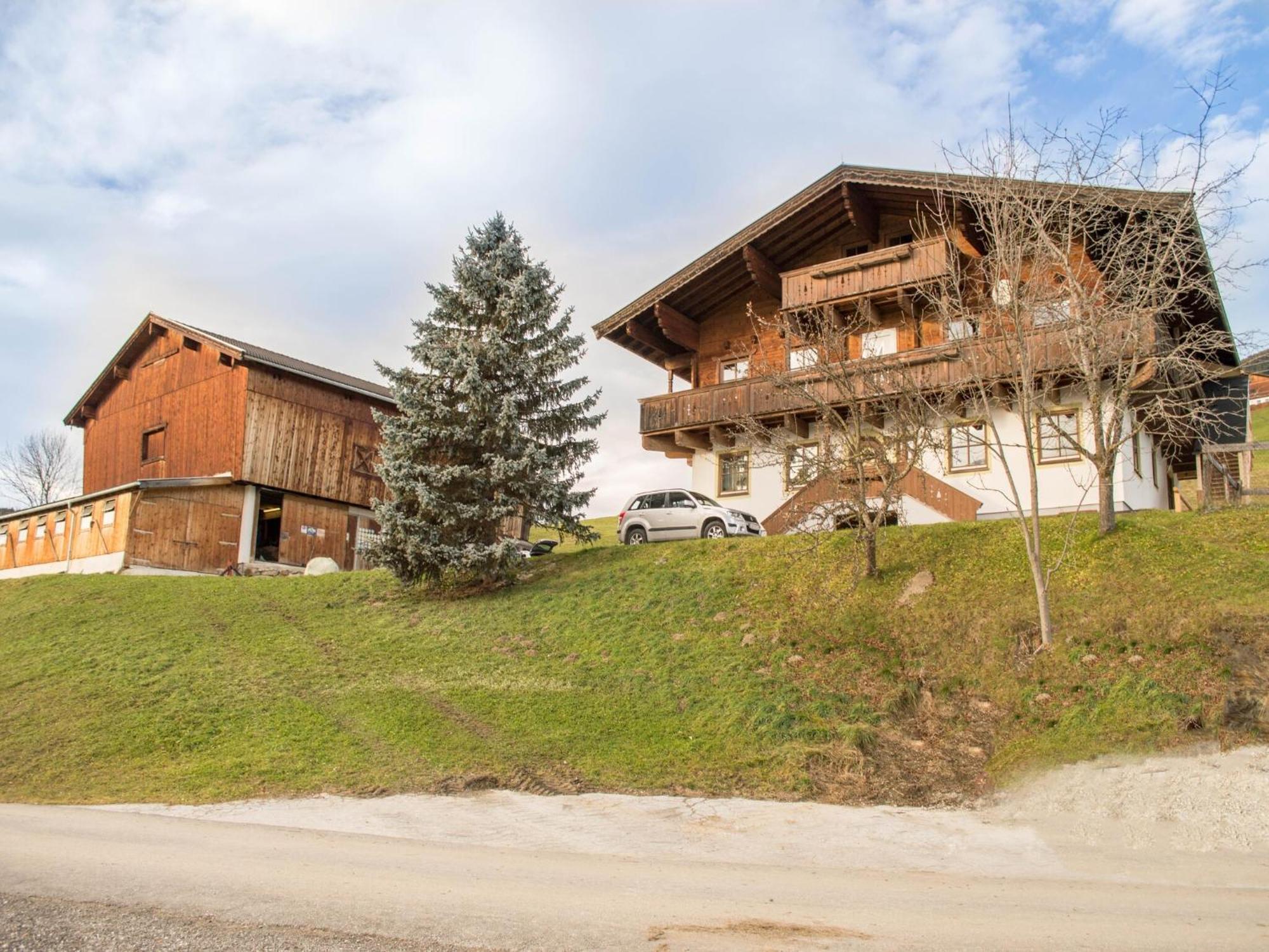 Rauchenbacher Apartments Миттерзилль Экстерьер фото